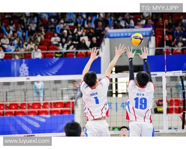 武汉排球队全运会逆袭之旅背后的奋斗与坚持故事