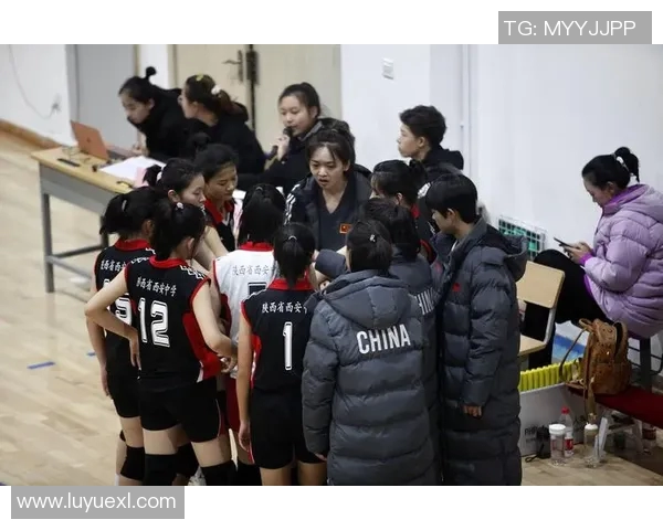 西安排球队的成长历程与世锦赛的辉煌征程揭秘